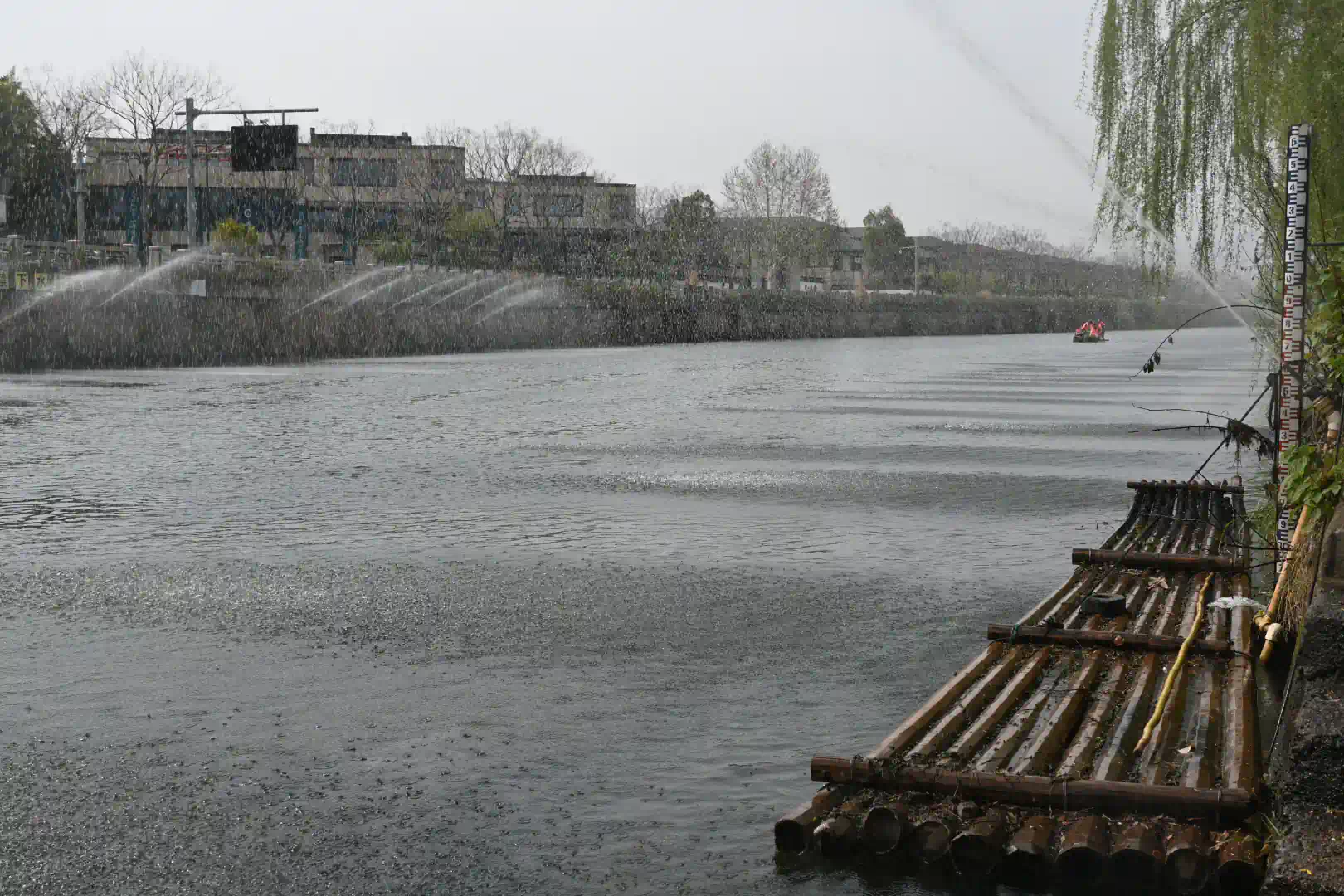 DSC_0092