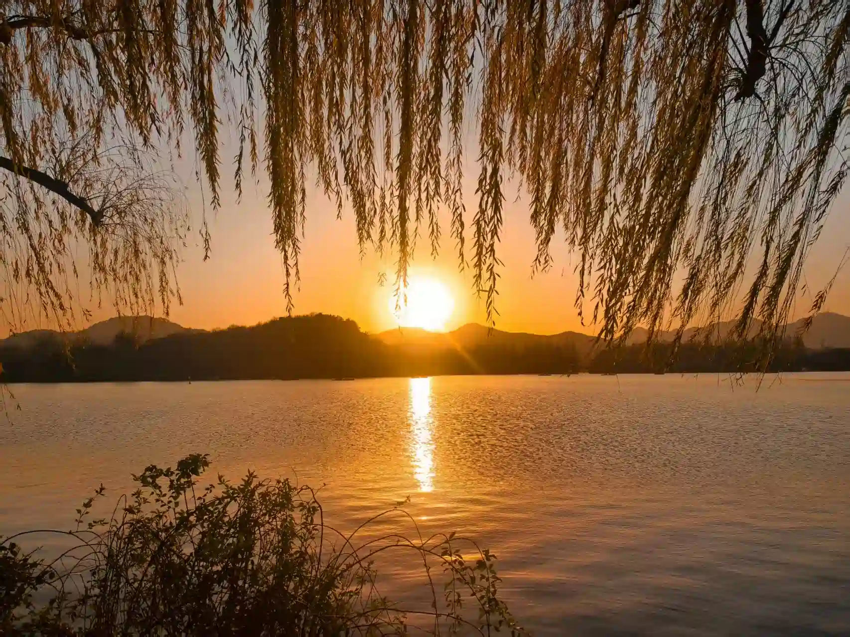 f38d6b19aad473c77fb4660bee8209bd